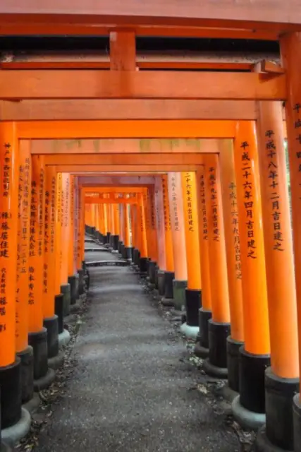 Le chemin des mille torii du sanctuaire Fushimi Inari-Taisha à Kyoto