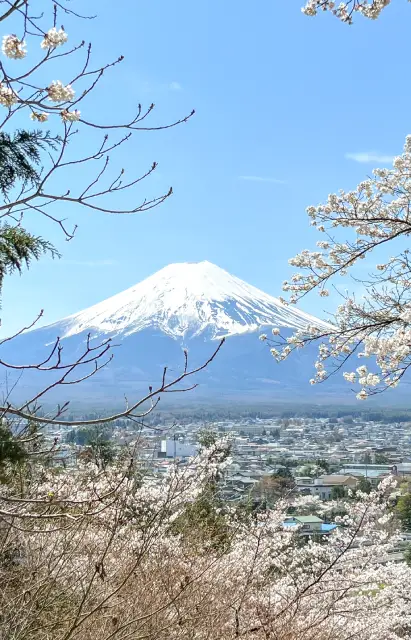 Le mont Fuji à la saison des sakura
