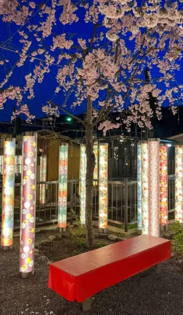 La forêt de kimono de nuit