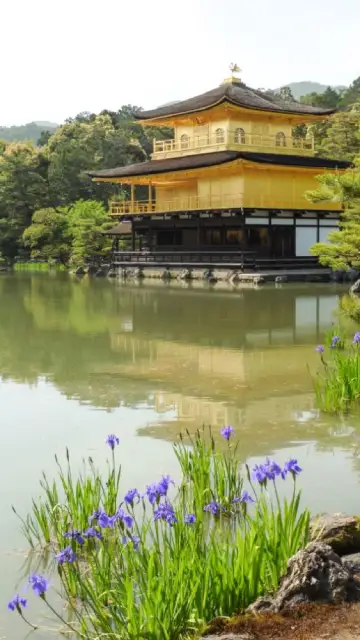 Le Kinkaku-ji