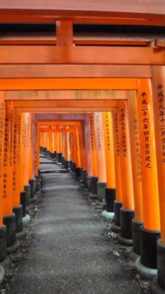 Les torii du Fushimi Inari Taisha
