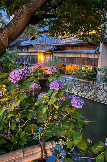 Promenade nocturne le long du canal Shirakawa